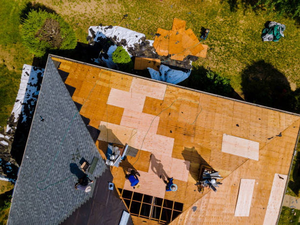 Quick and Trustworthy Emergency Roof Repair Services in Rohnert Park, CA