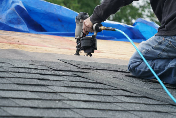 Best Roof Leak Repair  in Rohnert Park, CA