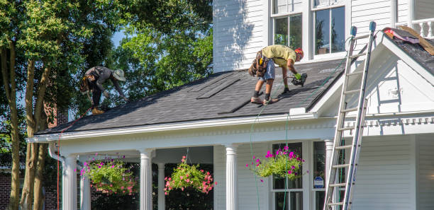 Best Roof Maintenance Services  in Rohnert Park, CA
