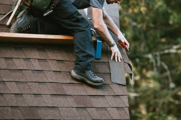 Best Residential Roofing Contractor  in Rohnert Park, CA