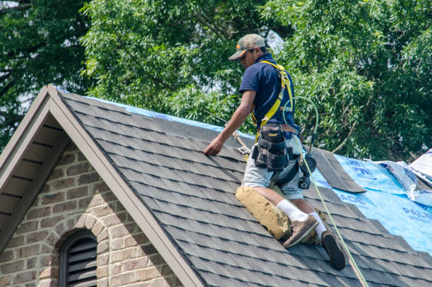 Best Commercial Roofing Services  in Rohnert Park, CA